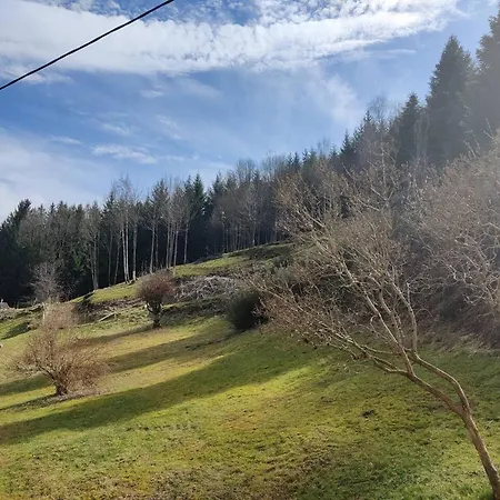 De 2 Avec Terrasse Et Wifi A A 1 Km Des Pistes * Gérardmer