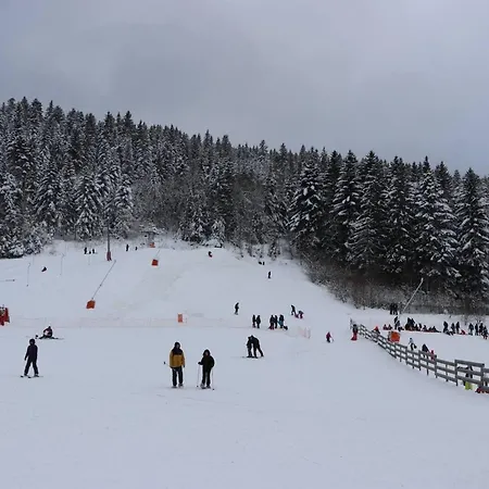 De 2 Avec Vue Sur Le Lac Jardin Et Wifi A A 1 Km Des Pistes *