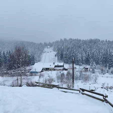 Appartement De 2 Avec Vue Sur Le Lac Jardin Et Wifi A A 1 Km Des Pistes