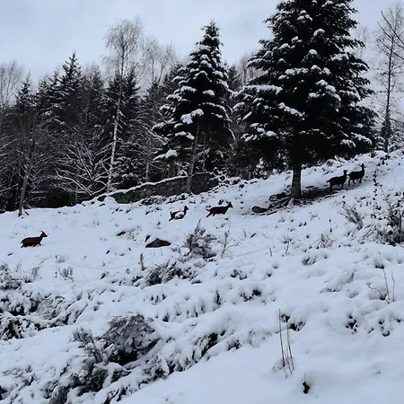 De 2 Avec Terrasse Et Wifi A A 1 Km Des Pistes Apartment *