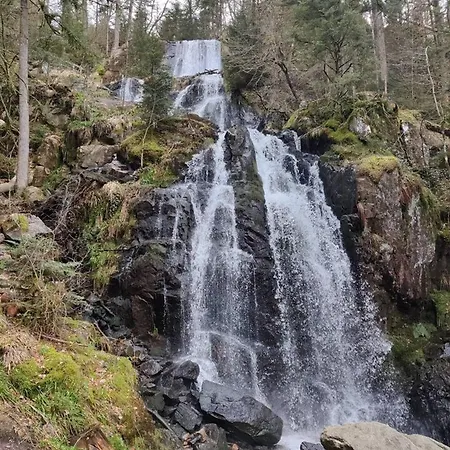 De 2 Avec Vue Sur Le Lac Jardin Et Wifi A A 1 Km Des Pistes Appartement *